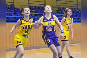 STARŠIE MINI Young Angels 2006 Yellow - Young Angels 2006 Blue